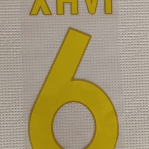 Dorsal Xavi Barcelona 2009