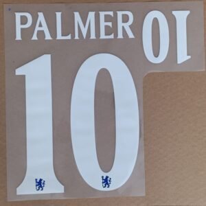 Dorsal Cole Palmer Chelsea UCL 2025