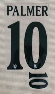 Dorsal Cole Palmer Chelsea UCL 2025 visitante