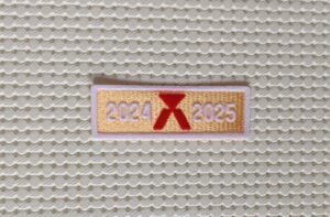 Parche Barcelona campeon LaLiga 24/25