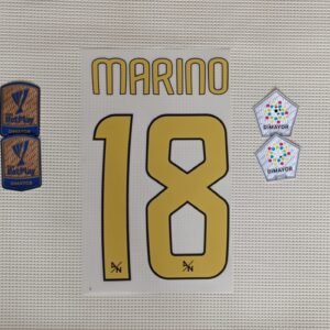 Set ATL Nacional M. Hinestroza Liga Betplay dorsal+2 parches