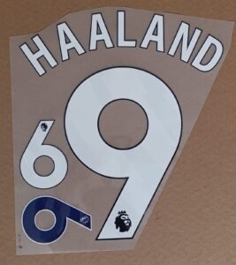 Dorsal Haaland Man City Premier league