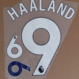 Dorsal Haaland Man City Premier league