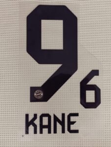 Dorsal Harry Kane Bayern Local UCL 2024