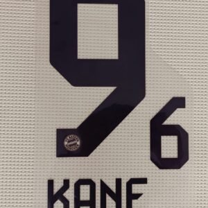 Dorsal Harry Kane Bayern Local UCL 2024