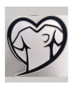 Parche Eliminatorias Europeas