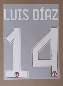 Dorsal Luis Diaz Bayern alternativa 2026